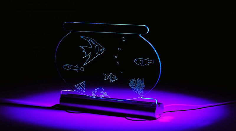 Glowing fish bowl